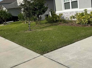 Amy N.'s grass maintenance service result