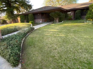 Joan P.'s Bush Trimming service result