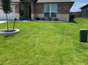 Celita M.'s grass maintenance service result
