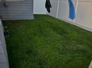 Kimberly S.'s lawn maintenance service result