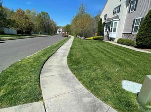 Jake H.'s grass maintenance service result