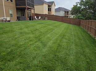 Kathryne R.'s lawn maintenance service result