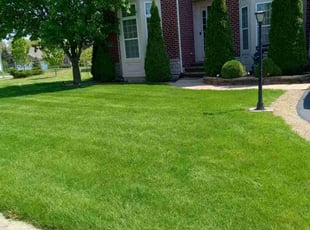 Beth S.'s turf care service result