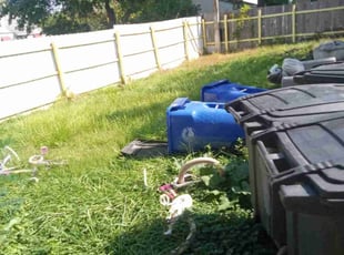 Randall H.'s Long Grass Cleanup service result