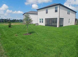 David S.'s lawn care services service result