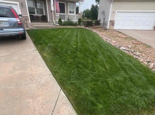 Emmett H.'s gardening service service result