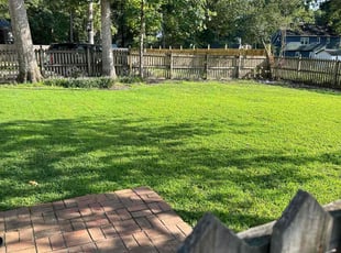 Abigail B.'s grass cutting service result