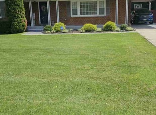 Valeria M.'s grass cutting service result