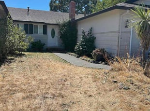 Melissa B.'s Bush Trimming service result