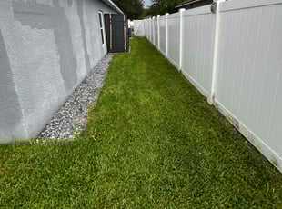 Tom A.'s grass cutting service result