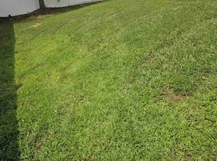 Beverly W.'s grass cutting service result