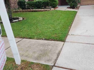 Nyre B.'s grass maintenance service result