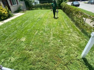 William J.'s lawn care services service result