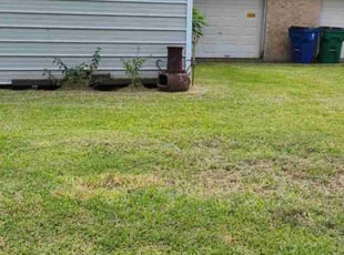 Stephanie L.'s lawn care service result