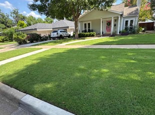 Zack W.'s lawn care service result