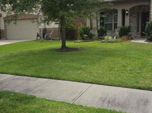 Judy N.'s lawn care service result