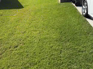 Edward K.'s turf maintenance service result