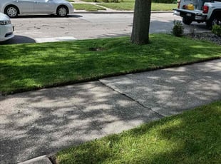 Martha M.'s lawn care service result