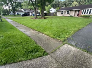 Terrence G.'s lawn maintenance service result