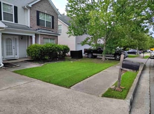 Alison C.'s grass maintenance service result