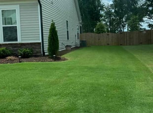 Kunde V.'s lawn care services service result