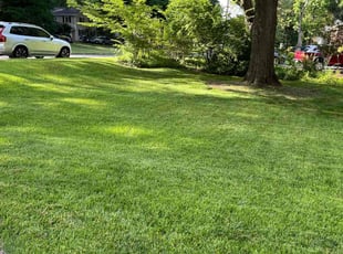 Andrew A.'s lawn service service result