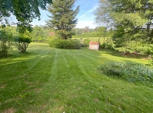 Ashley S.'s lawn service service result