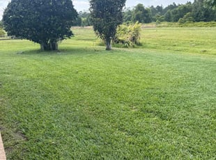 Christopher T.'s landscaping services service result