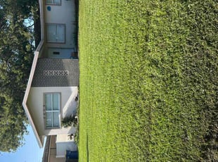 Ammar I.'s yard maintenance service result
