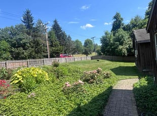 Lea L.'s turf care service result