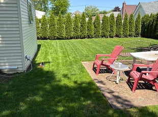 Jeffrey B.'s turf maintenance service result