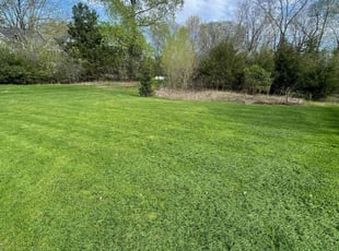 Belkys T.'s lawn service service result