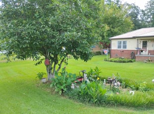 Scott S.'s grass cutting service result