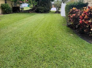 Mary N.'s turf care service result