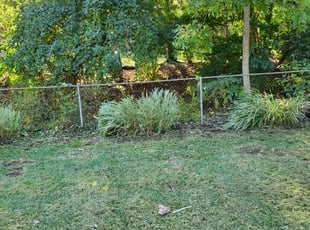 Joe S.'s Bush Trimming service result