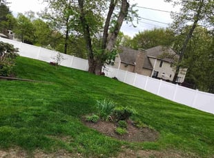 Jim B.'s turf care service result