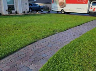 Tina B.'s turf maintenance service result