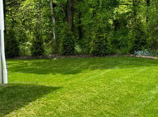 Jason H.'s grass maintenance service result