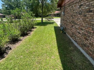 Tierney P.'s grass maintenance service result