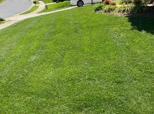 Karen S.'s grass maintenance service result