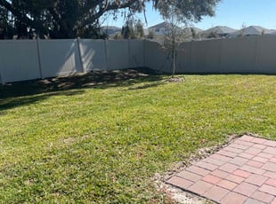 Noah B.'s grass maintenance service result