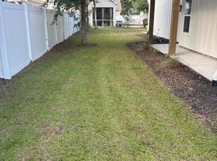 Lance J.'s grass maintenance service result