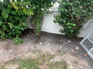 Irfan Q.'s Cleanups service result