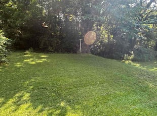 Don G.'s Long Grass Cleanup service result