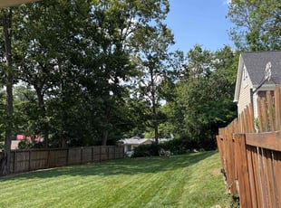 Ismael G.'s turf care service result