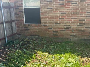 Tiffany H.'s lawn care services service result