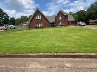 Brian R.'s grass maintenance service result