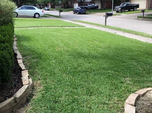 Harry S.'s lawn care service result