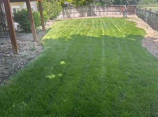 Ben M.'s turf care service result