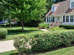 Darryl G.'s lawn service service result